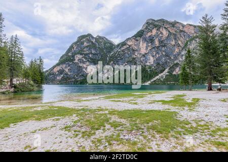 Rive du lac Braies avec eau cristalline (utilisé comme plage en été) Banque D'Images