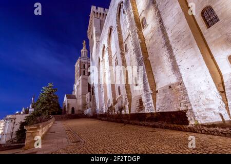 Belle vue nocturne de la cathédrale notre-Dame des Doms et du Palais des Papes à Avignon, France Banque D'Images