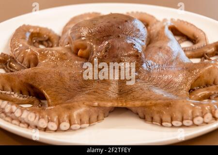 Photo Сlose-up d'un poulpe frais (brut) sur un blanc plateau prêt à cuire (mise au point sélective) Banque D'Images