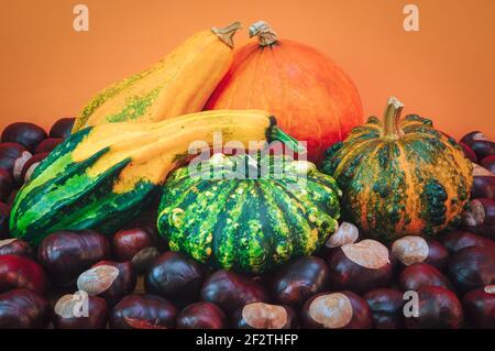 Récolte d'automne. Composition de citrouilles et de châtaignes décoratives sur fond orange Banque D'Images