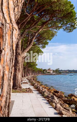 Vue sur la célèbre promenade sur le lac de Garde entre Villes Lazise et Bardolino Banque D'Images