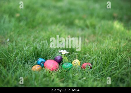 Caché dans l'herbe oeufs de Pâques, qui sont peints dans différentes couleurs Banque D'Images