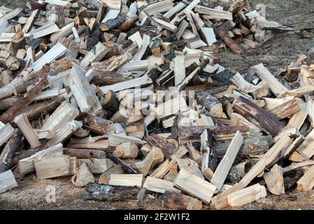 Pile de bois de chauffage sur tas. Piles de bois de chauffage conifères et à feuilles caduques. Banque D'Images