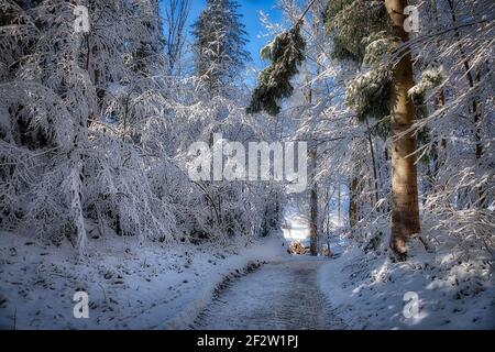 DE - BAVIÈRE: Scène d'hiver à Buchberg près de Bad Toelz (HDR-image) Banque D'Images