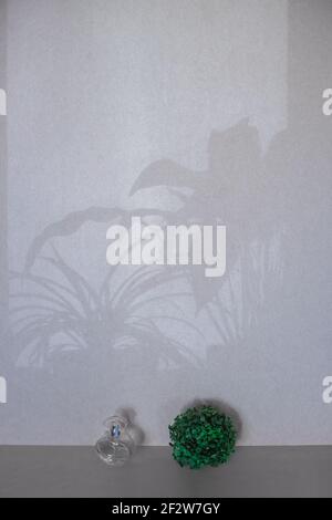 L'ombre du feuillage des fleurs sur la fenêtre est affichée contre le mur gris. Arrière-plan abstrait. Banque D'Images