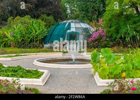 Plantes florissantes dans le jardin botanique de Zagreb, Croatie Banque D'Images