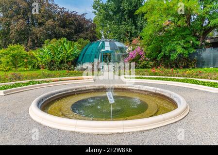 Plantes florissantes dans le jardin botanique de Zagreb, Croatie Banque D'Images