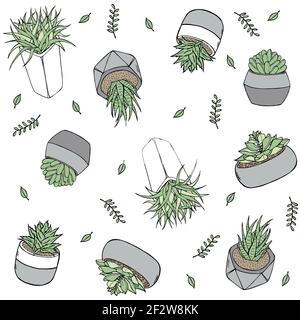 Illustration de style Doodle à motif botanique sans couture au format vectoriel. Plantes dessinées à la main dans des pots Illustration de Vecteur