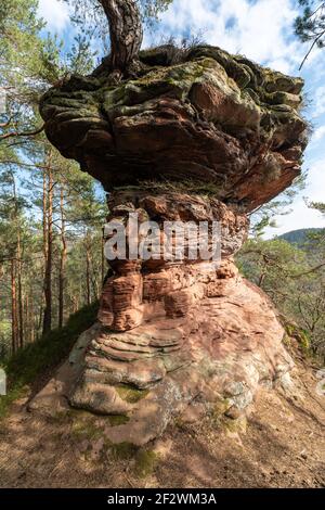 Großer Ferkelstein, une formation rocheuse du Pfälzerwald (Palatinat, Allemagne) Banque D'Images