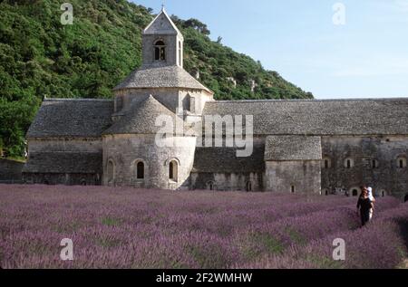 Abbaye notre-Dame de Sénanque Banque D'Images