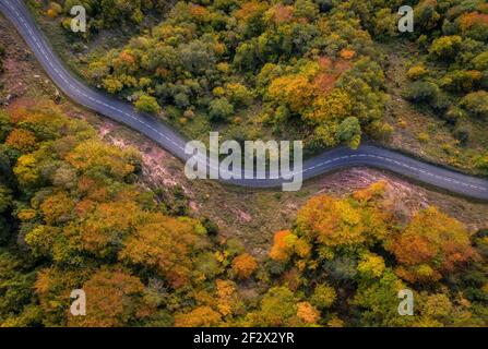 Vue aérienne de la forêt et de la route vers le col de la montagne des Bricons, en automne (Garrotxa, Catalogne, Espagne) Banque D'Images