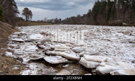 Énormes charges de glace dérive dans la rivière Ogre, Lettonie. Congestion sur la rivière au printemps. Un grand groupe de blocs de glace mobiles Banque D'Images