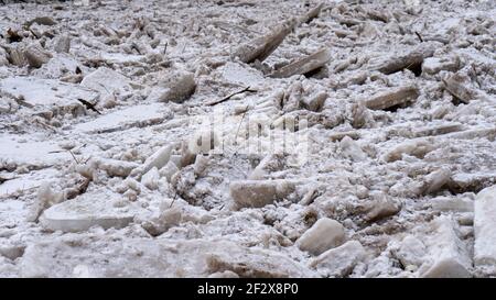 Énormes charges de glace dérive dans la rivière Ogre, Lettonie. Congestion sur la rivière au printemps. Un grand groupe de blocs de glace mobiles Banque D'Images