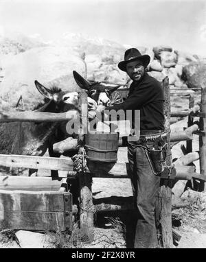 GREGORY PECK dans LE CIEL JAUNE 1948 réalisateur WILLIAM A. WELLMAN Story W.R. Burnett scénario Lamar Trotti musique Alfred Newman vingtième siècle Fox Banque D'Images