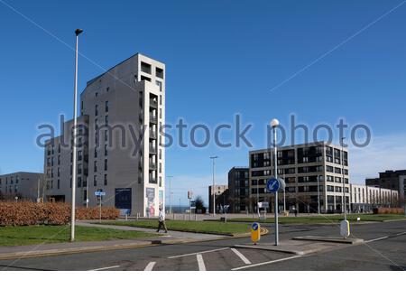 Etablissement résidentiel moderne à Saltyre Square, Waterfront Avenue, Granton Edinburgh, Écosse Banque D'Images