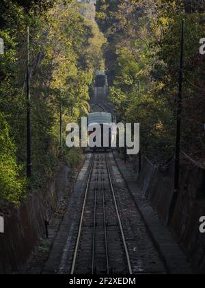 Vue panoramique sur le passage du téléphérique du funiculaire historique A travers les arbres à Cerro San Cristobal colline à Santiago de Chili Amérique du Sud Banque D'Images