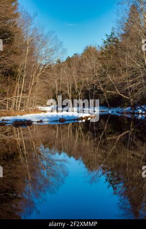 East Branch Wallenpaupack Creek, un affluent de la rivière Delaware, dans le parc national Promise Land State Park, sur les monts Pocono en Pennsylvanie. Banque D'Images