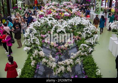 Visiteurs appréciant la belle exposition en forme de coeur des fleurs d'orchidées colorées dans le pavillon d'exposition dans les jardins de Keukenhof, Lisse, Hollande. Banque D'Images