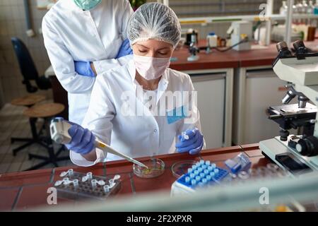 Femme chercheuse travaillant avec des échantillons de microbilogie dans le laboratoire Banque D'Images