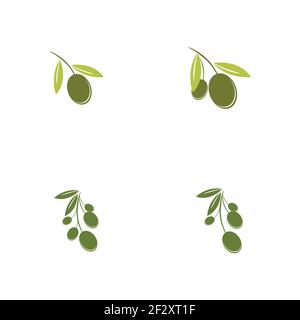 Jeu de modèles de logo Olive dessin d'illustration d'icône vectorielle Illustration de Vecteur