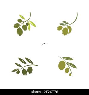 Jeu de modèles de logo Olive dessin d'illustration d'icône vectorielle Illustration de Vecteur