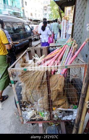 Balais en bois dans un bac à vendre à Yangon, Myanmar Birmanie Banque D'Images