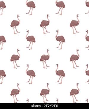 Joli motif vectoriel sans couture avec autruche australienne. Oiseau brun, pour impression sur t-shirts, emballages, fonds d'écran, papier, affiches. Caractère drôle dans un style plat. Blanc isolé Illustration de Vecteur