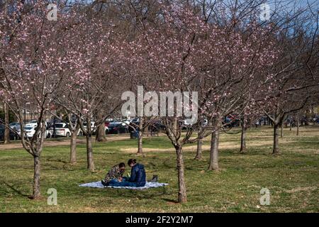 Washington, États-Unis. 13 mars 2021. Les gens profitent des températures élevées qui ont atteint les années 60 en passant du temps au National Mall et au Lincoln Memorial le 13 mars 2021 à Washington DC. Photo par Ken Cedeno/Sipa USA crédit: SIPA USA/Alay Live News Banque D'Images