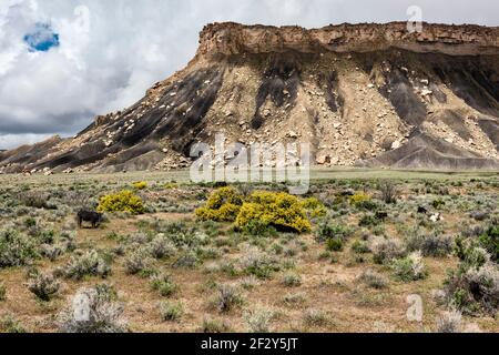 Les nuages forment un trou bleu dans le ciel au-dessus d'une Utah mesa avec des bovins au premier plan près de Sego Canyon, Utah, États-Unis. Banque D'Images