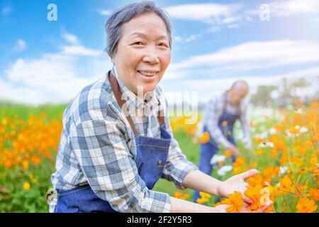 Joyeux couple asiatique senior travaillant dans le jardin le matin Banque D'Images