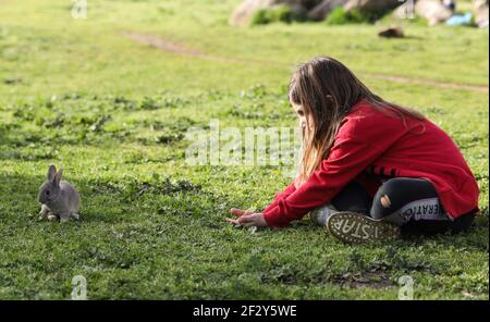 (210314) -- ROME, 14 mars 2021 (Xinhua) -- UNE fille tente d'attirer l'attention d'un lapin avec des carottes à Parco della Caffarella à Rome, Italie, le 13 mars 2021. L'Italie a approuvé vendredi une nouvelle série de restrictions strictes contre la COVID-19 dans tout le pays, les variantes virales circulant dans le pays relançant les infections. Les nouvelles mesures seront mises en œuvre entre mars 15 et avril 6, y compris le dimanche de Pâques et le lundi de Pâques (du 4 au 5 avril), qui représentent une fête traditionnelle pour les Italiens au printemps. Selon les dernières données du ministère de la Santé, quelque 26,062 nouveaux cas étaient r Banque D'Images