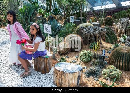 Les filles s'assoient devant un étalage de cactus dans l'atrium des jardins près de la baie de Singapour. Banque D'Images