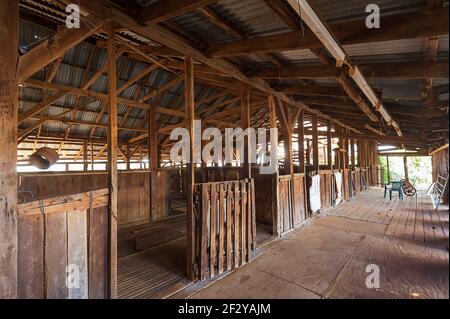 Ancien hangar de cisaillement à Charlotte Plains, une ancienne station de bétail et de moutons près de Cunnamulla, Queensland, Queensland, Australie Banque D'Images