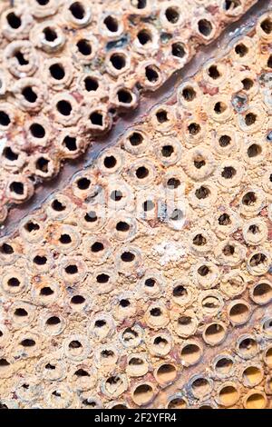 Feuille de tube de mise au point sélective ou plaque d'échangeur thermique ou texture de gros plan de la chaudière fond macro diagonal plein de dur insoluble dépôts minéraux Banque D'Images