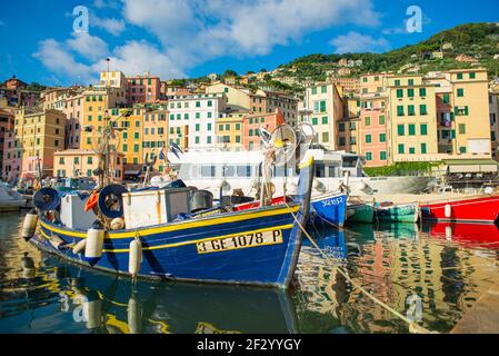 Un bateau de pêche traditionnel en bois bleu est amarré dans le port de Camogli, Ligurie, Italie. La pêche est une activité prédominante dans la petite ville Banque D'Images