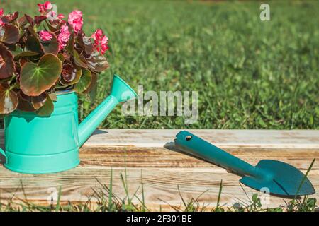 Un arrosoir décoratif vert avec une fleur de Begonia se tient sur des planches brûlées sur un fond d'herbe. À proximité se trouve une paddle de terre. Place pour te Banque D'Images