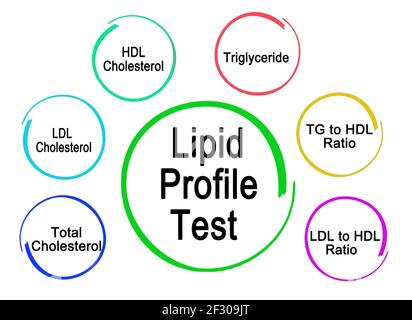 Six composants du test de profil lipidique Banque D'Images