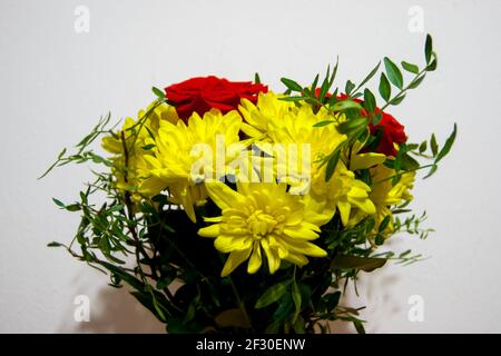 Un bouquet de fleurs fait de roses rouges et de chrysanthèmes jaunes sans emballage est placé dans un vase contre le mur blanc. Les fleurs sont grandes. Un cadeau, une déclaration d'amour. Vacances. Banque D'Images