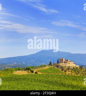 Beau paysage en Toscane près de Montepulciano. Banque D'Images