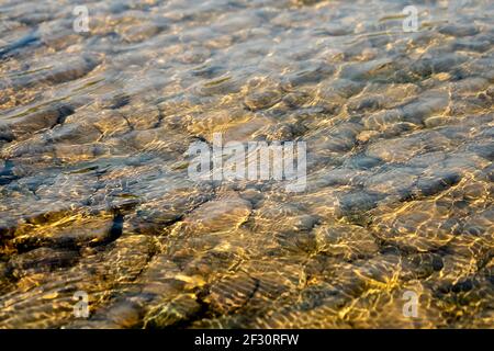 Les cailloux et le gravier sous la surface de la rivière avec le fond de lumière du soleil. Banque D'Images