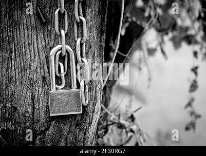 Serrure à clé avec chaîne métallique sur fond en bois, mise au point sélective, photographie en noir et blanc. Banque D'Images