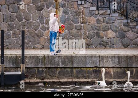 Prague, République tchèque - 12 mars 2021. Fille en jeans bleu nourrissant deux cygnes de la rive Banque D'Images