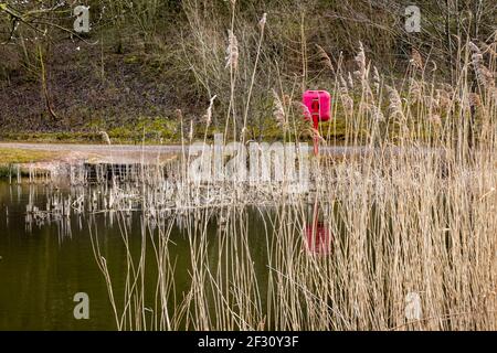 Boîte rouge sur un poteau tenant une ceinture de sauvetage d'aide à la flottabilité À un lac dans une forêt dans le Derbyshire Banque D'Images