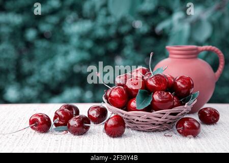 Grandes cerises rouges dans un panier et un pot de lait isolé sur le vert. Banque D'Images