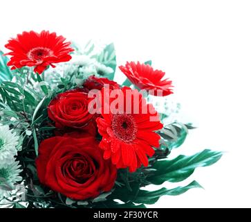 Le fond de la Saint-Valentin avec gerberas et roses isolées sur blanc . Banque D'Images