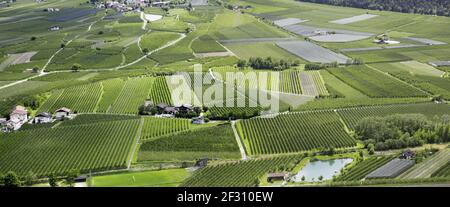 Magnifique panorama du Tyrol du Sud dans le Vinschgau avec vergers de pommiers. Banque D'Images