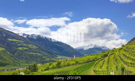 Magnifique panorama du Tyrol du Sud dans le Vinschgau avec vergers de pommiers. Banque D'Images