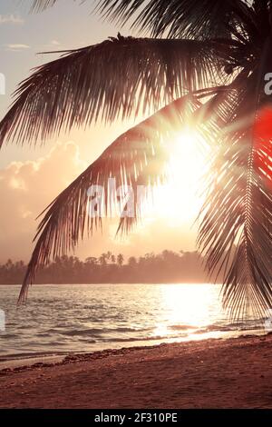 Lever de soleil tropical avec palmiers à noix de coco et mer des caraïbes . Banque D'Images