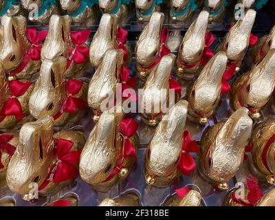 Viersen, Allemagne - 1er mars. 2021: Gros plan vue du dessus du groupe de nombreux lapins de pâques au chocolat doré lindt dans l'étagère du supermarché allemand Banque D'Images