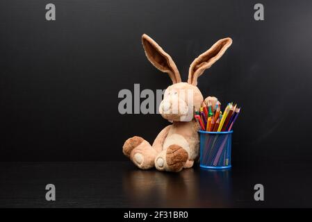 Le joli lapin s'assoit sur le fond d'un tableau noir de craie, de retour à l'école Banque D'Images